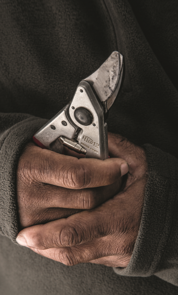 FELCO 12 | Einhand Baum-, Reb-, Gartenschere | Hochleistung | Ergonomie | kompakt | in der Hand